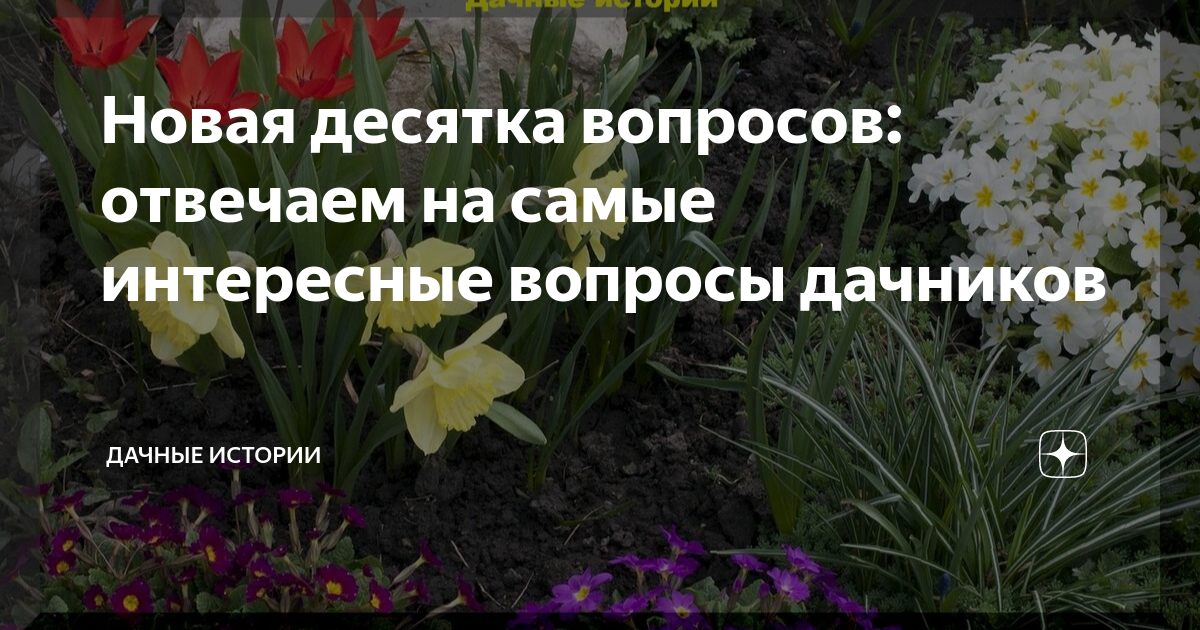 Новая десятка вопросов: отвечаем на самые интересные вопросы дачников ...