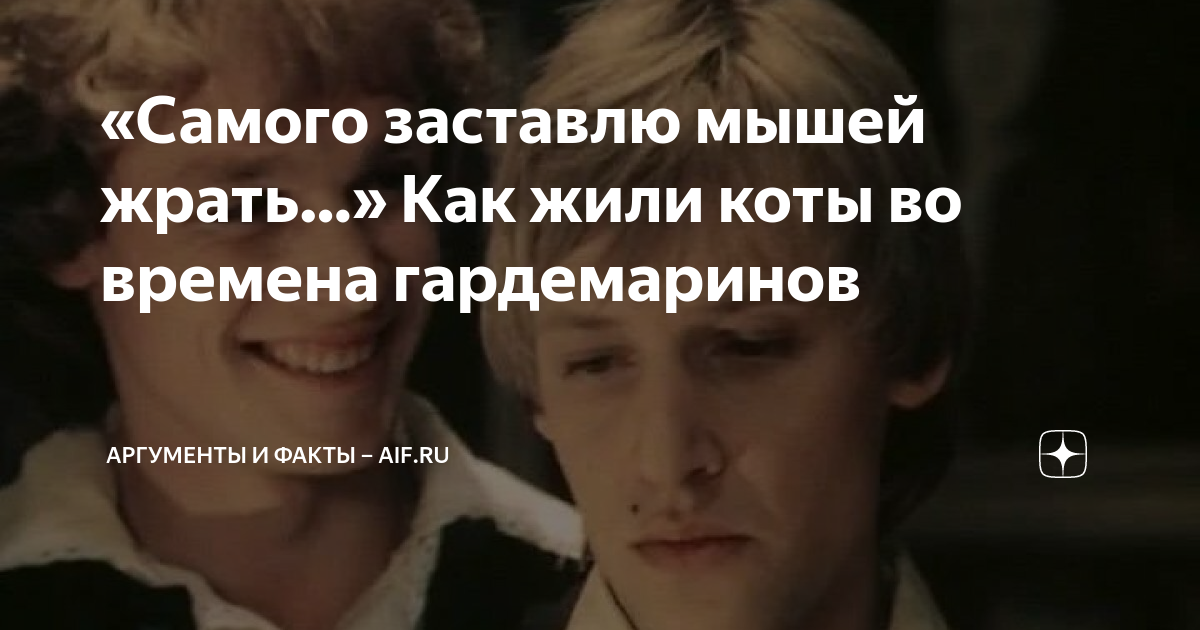 мужчины без женщин. фото вот так и живём. марисса майер цитаты. тем самым заставив. тем самым заставив.