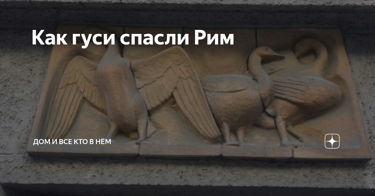 Этот город спасли гуси. Гуси рим спасли это в древнем риме. памятник гусям в риме. гуси галлы рим. гуси рим спасли памятник.
