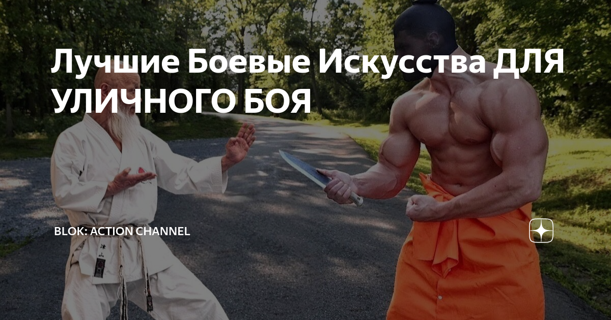 Лучшие Боевые Искусства ДЛЯ УЛИЧНОГО БОЯ | BLOK: Action Channel | Дзен