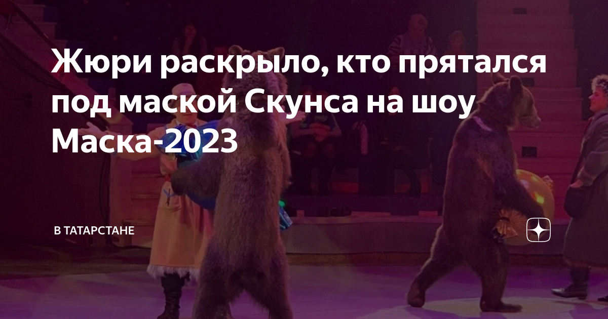 Шоу маска 2023. Шоу маска скунс. Горностай шоу маска.