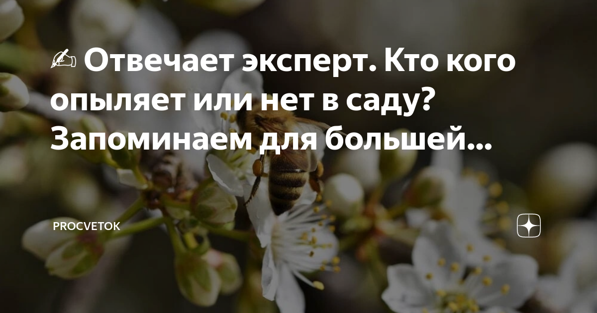 ✍️ Отвечает эксперт. Кто кого опыляет или нет в саду? Запоминаем длябольшей…