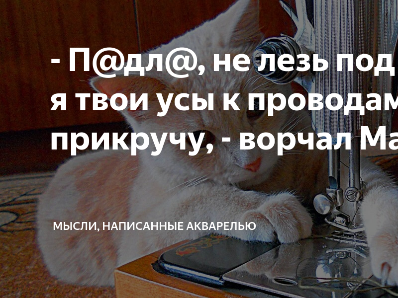 Песня твои усы