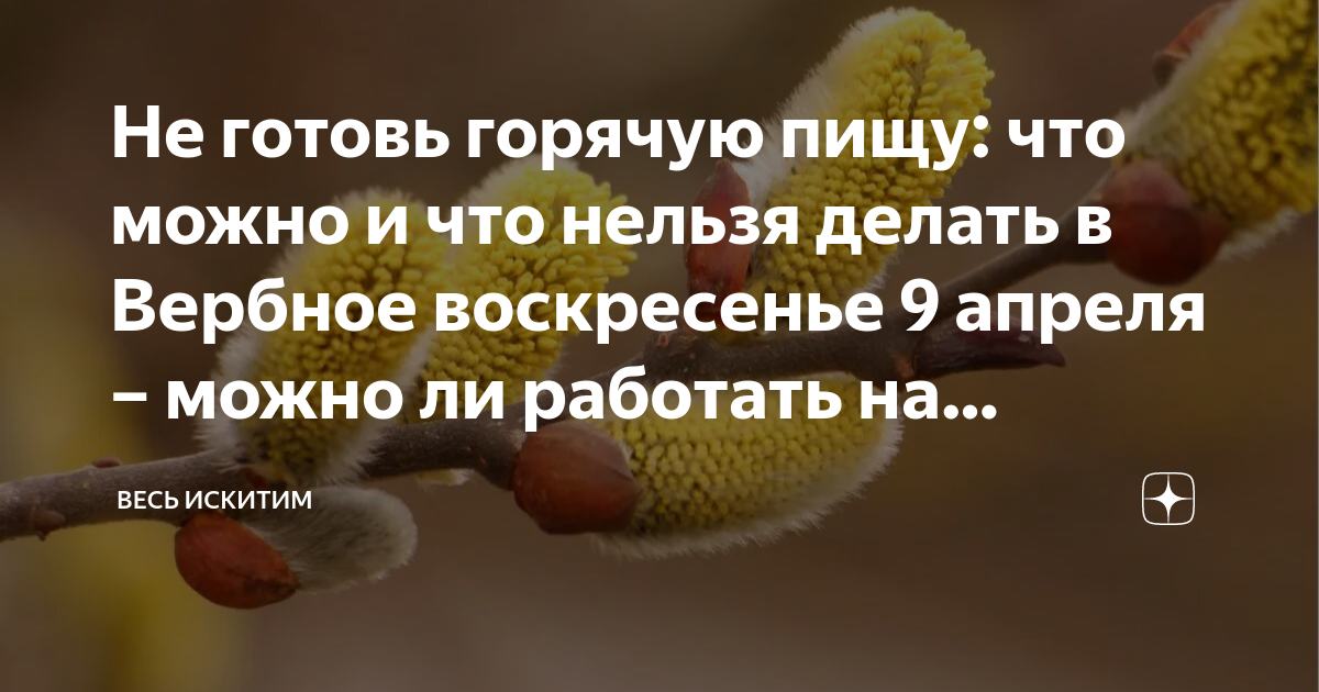 Можно ли мыть полы в вербное воскресенье. Вербное воскресенье что нельзя делать. С Вербным воскресеньем. Вербное воскресенье в 2023 Дата. Вербное воскресенье,8 апреля
