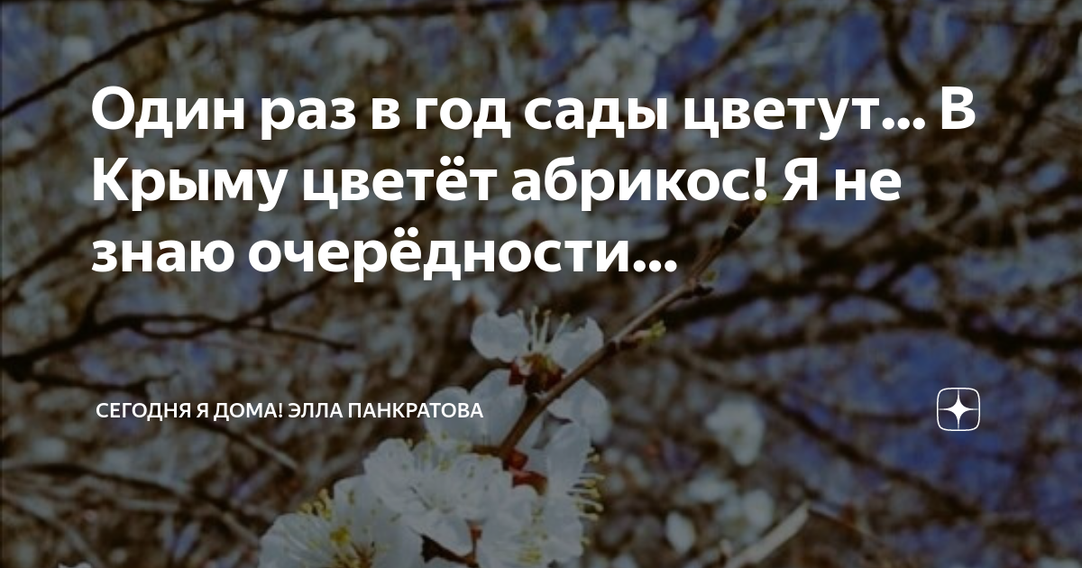 Один раз в год сады цветут рингтон. Когда распускаются деревья. Какие деревья первые распускаются весной.