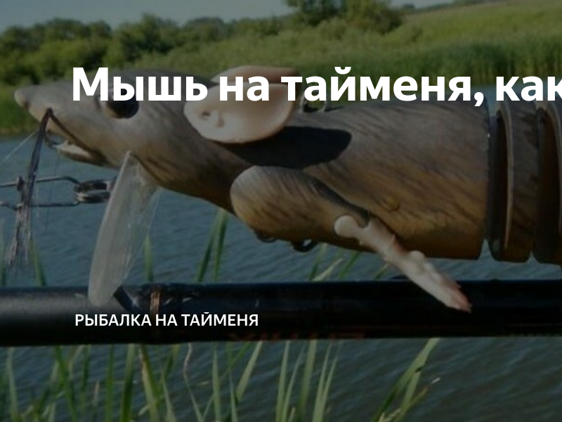 Мышь на тайменя, какая она? | Рыбалка на тайменя | Дзен