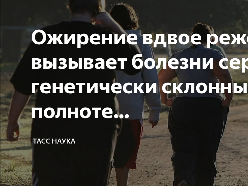 Люди склонные к полноте. Мнение как транспорт у кого нет собственного пользуются общественным. Мнение оно как транспорт у кого. Цитаты про мнение.