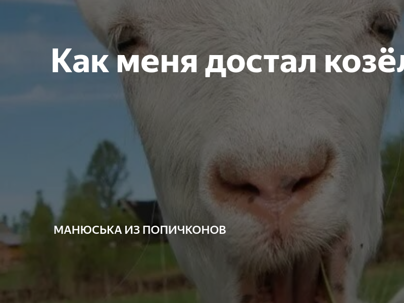 Как меня достал козёл! | Манюська из Попичконов | Дзен