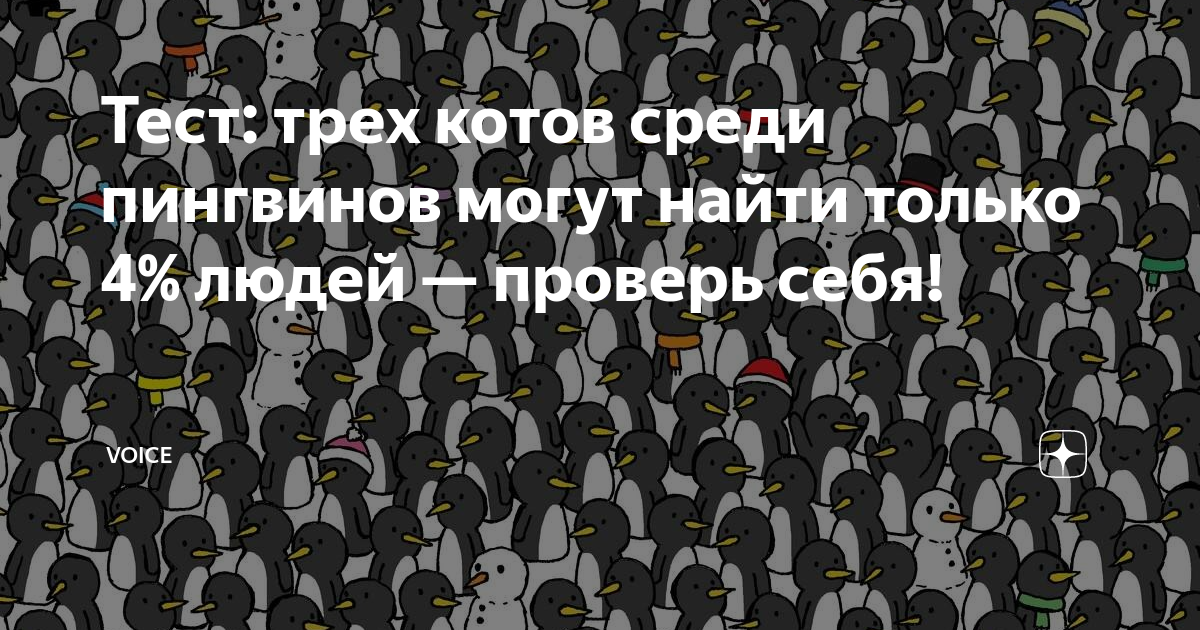Кот 3 тест. Кот среди пингвинов. найдите кота среди людей. найди пингвина среди туканов. найди пингвина среди панд.
