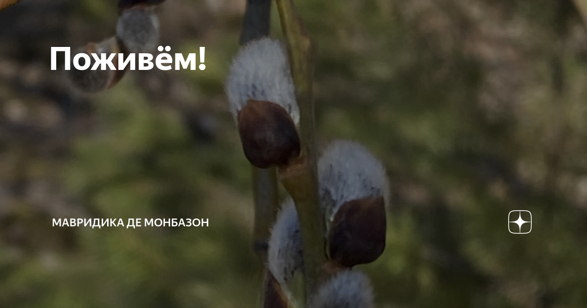 Поживём! | Мавридика де Монбазон | Дзен