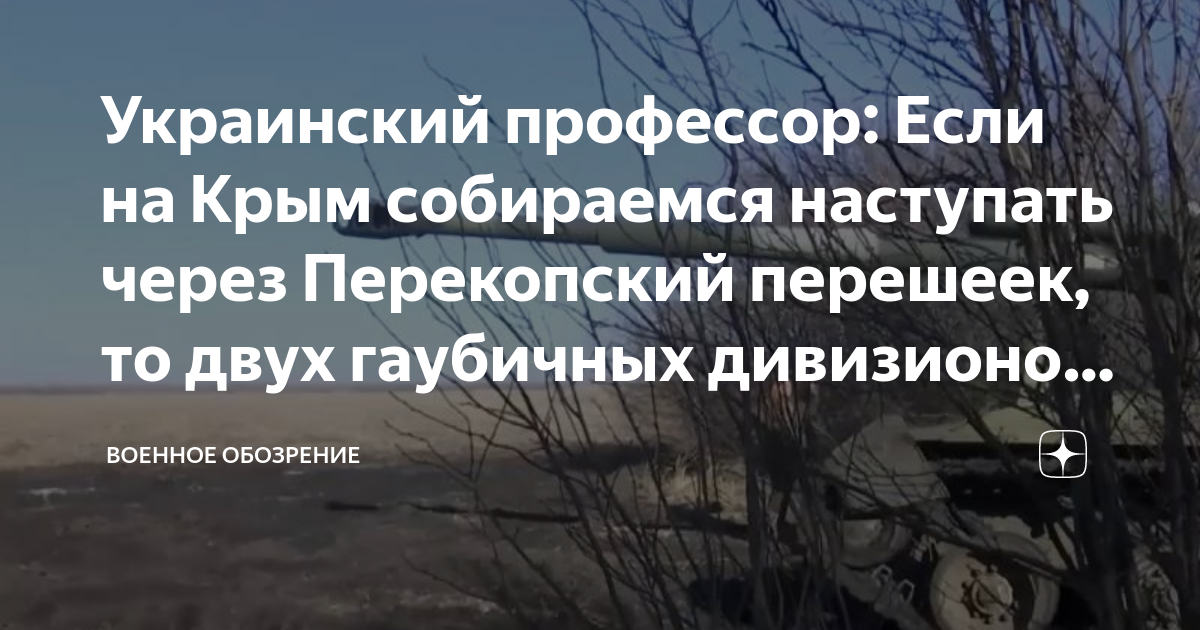 Украинский профессор: Если на Крым собираемся наступать через ...