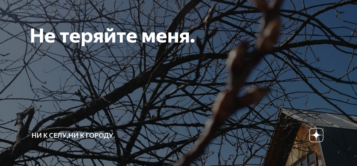Не теряйте меня. | Ни к селу,ни к городу. | Дзен