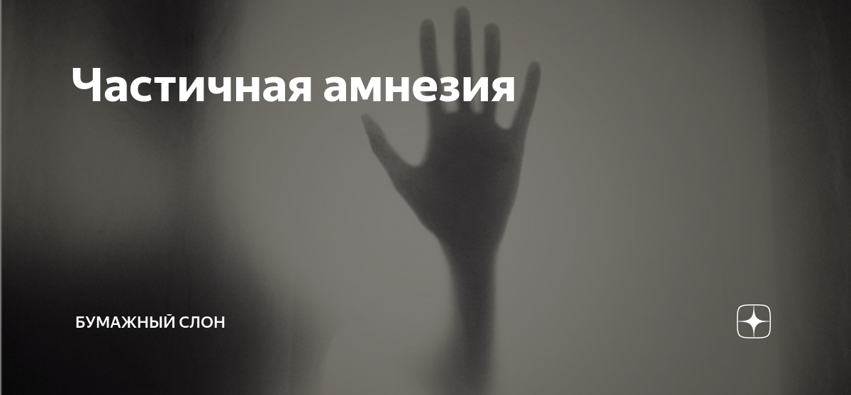 Частичная амнезия | Бумажный Слон | Дзен