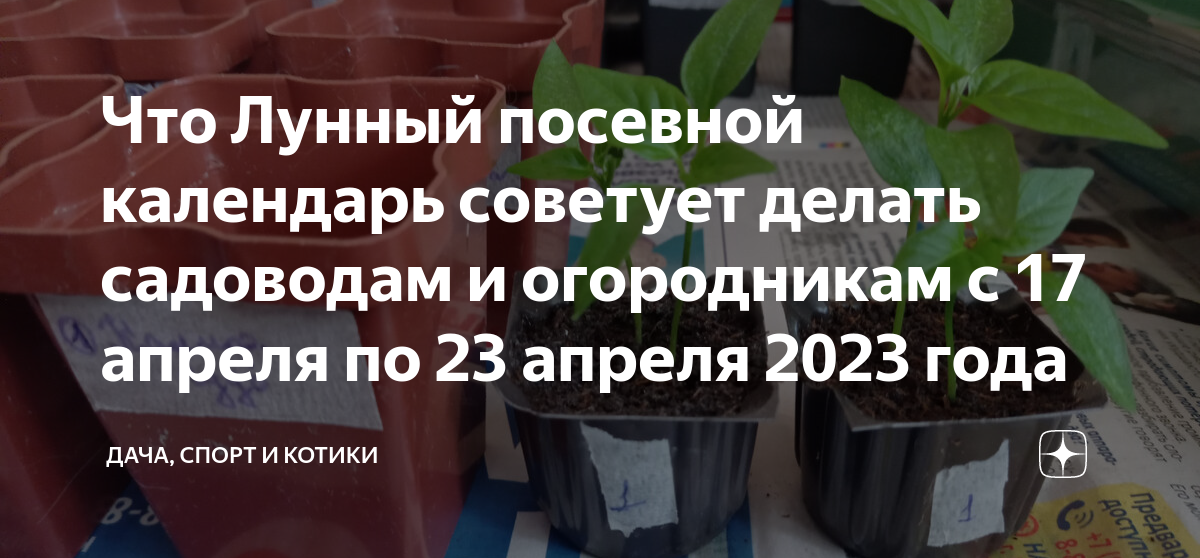 Календарь огородника на апрель 2023