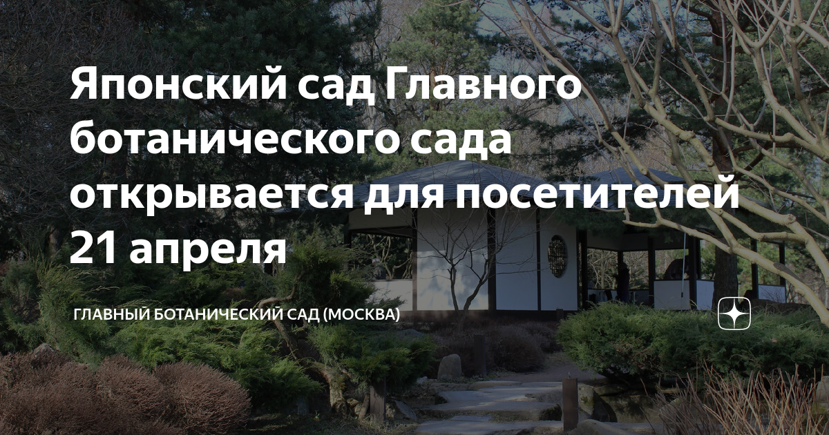 Главный ботанический сад Москвы: где находится, цены на билеты, адрес, стоимость - Москва 