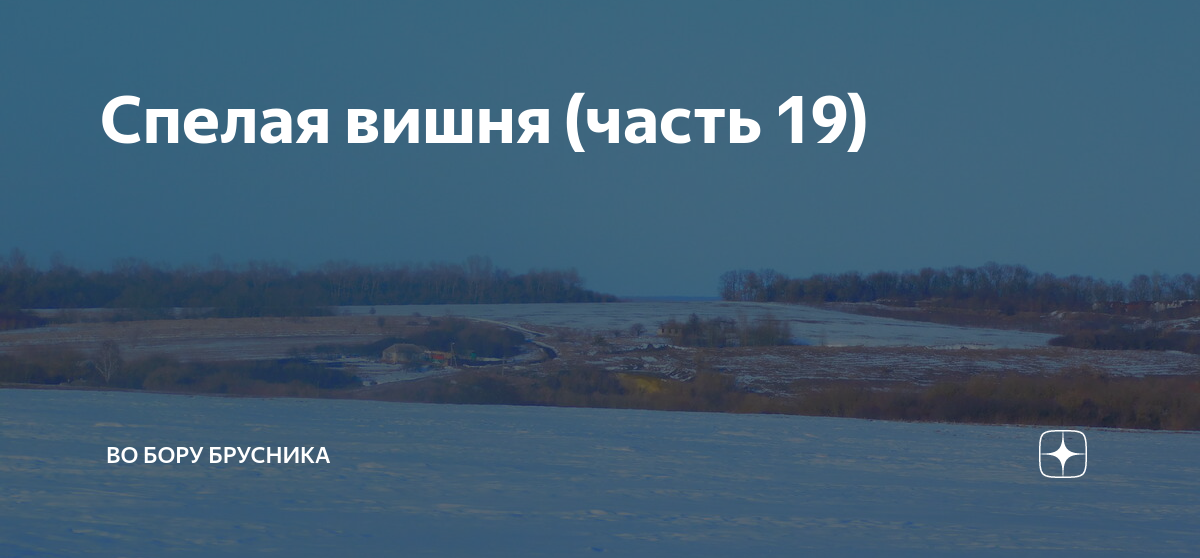 Во бору брусника рассказы на дзен
