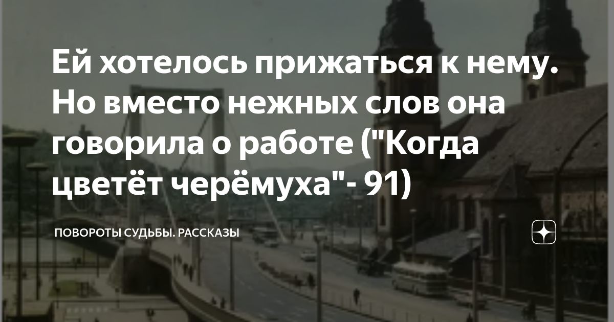 Повороты судьбы новые рассказ на дзен лесина. Повороты судьбы новые рассказ на дзен лесина