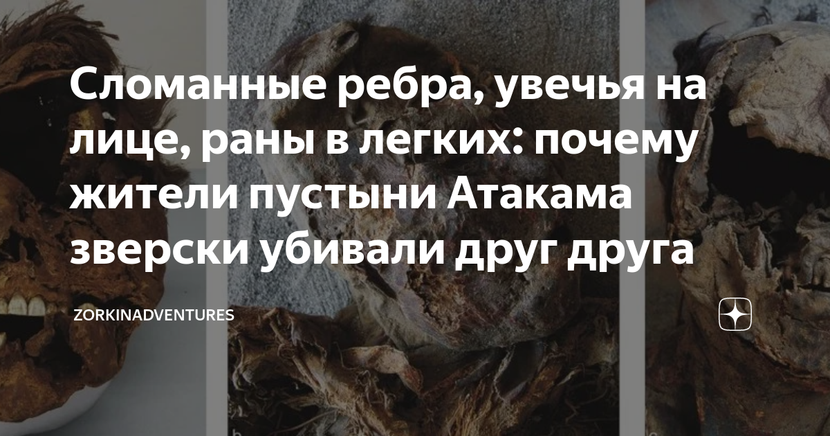 Получила рваные раны на руках, лице и теле: 57-летняя женщина вступила ...
