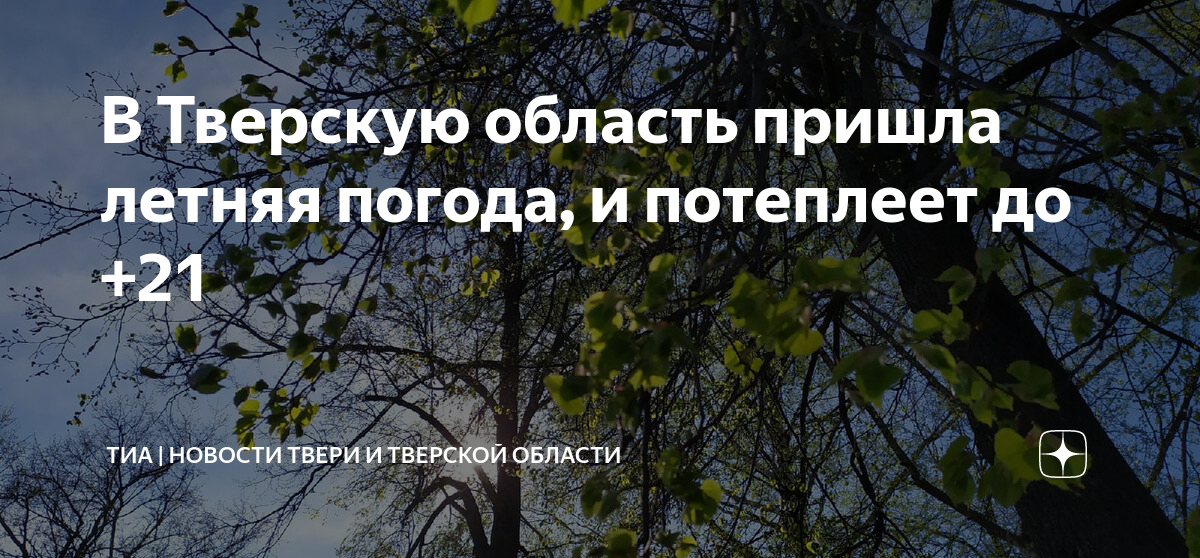 В Тверскую область пришла летняя погода, и потеплеет до +21 | ТИА ...