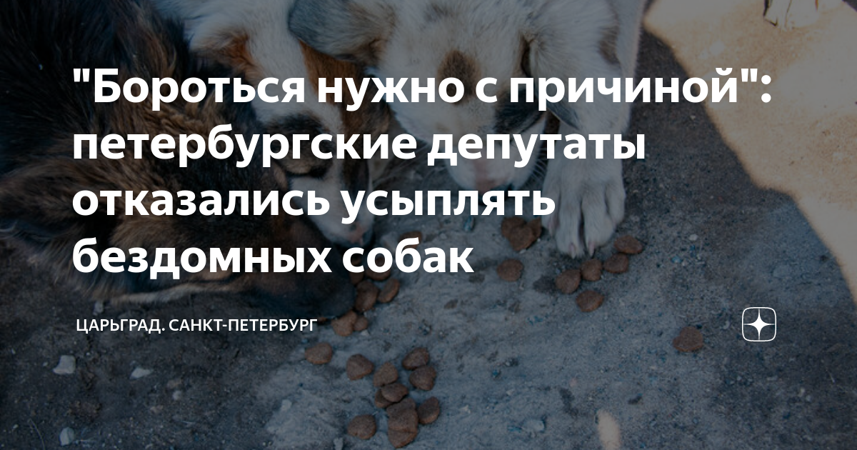 Закон об усыплении животных 2025. Стерилизация бездомных собак. Эвтаназия бродячих собак. Против эвтаназии бездомных животных. Против эвтаназии животных картинки.