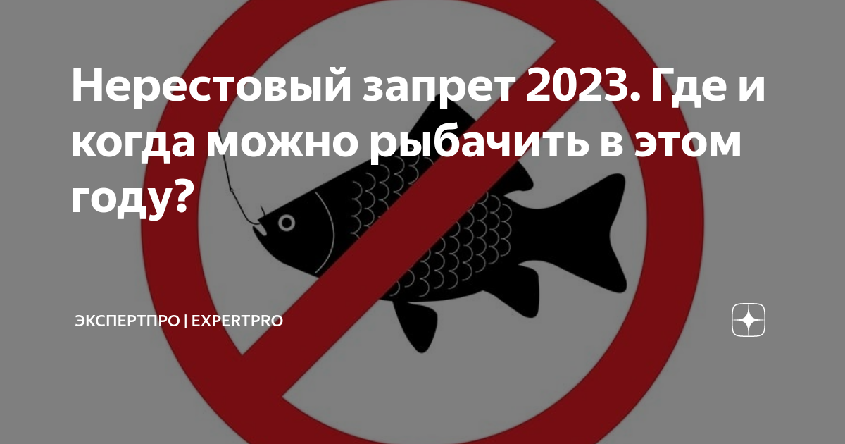 Когда можно ловить рыбу в 2024 году. Нерестовый запрет. Ловля в нерестовый запрет. Нерестовый запрет 2024. Нерестовый запрет 2024 Брянская.