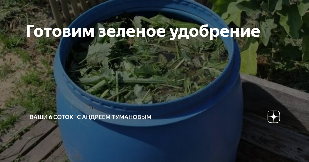 Готовим зеленое удобрение | "Ваши 6 соток" с Андреем Тумановым | Дзен