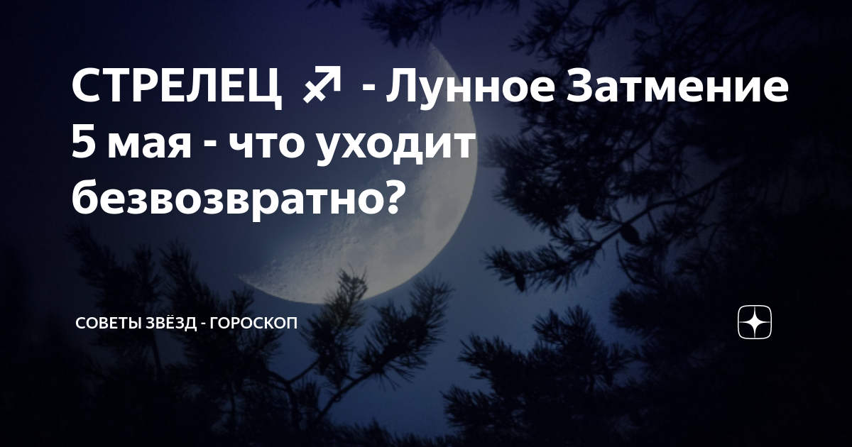 Советы звезд гороскоп дзен