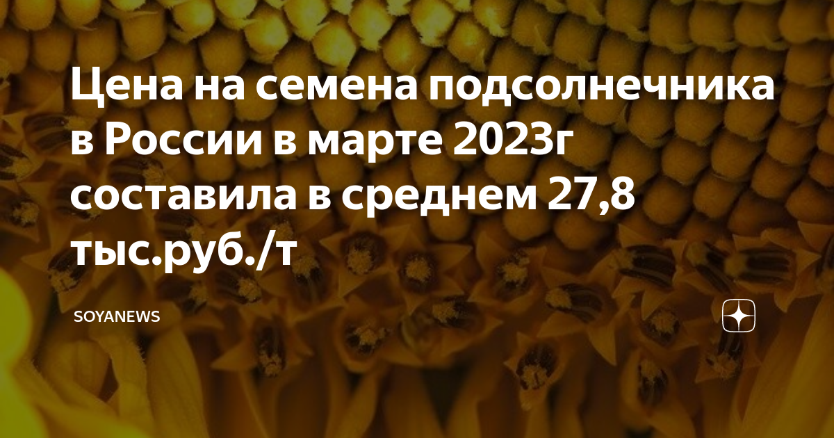 Прогноз цен на подсолнечник в 2023. Прогноз цен на подсолнечник в 2023. Прогноз цен на подсолнечник в 2023. Расценки на подсолнечник. Динамика цен на подсолнечник.
