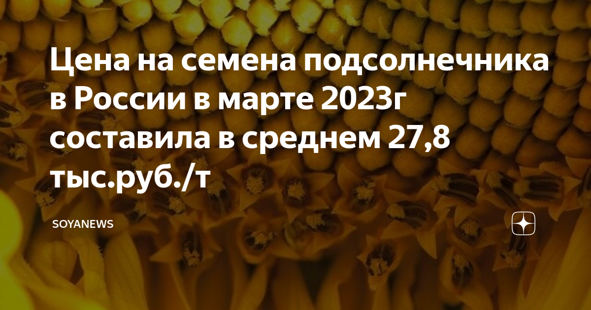 Прогноз цен на подсолнечник в 2023