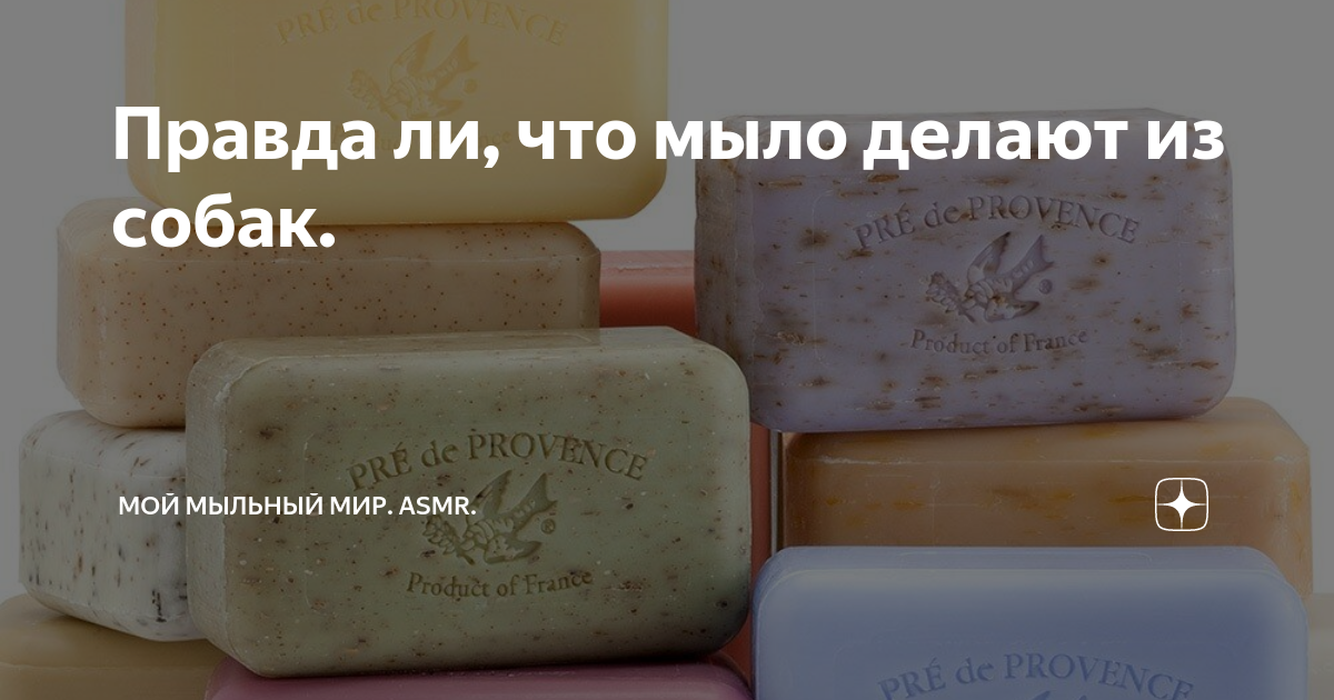 Мыло для собак. Как из собак делают мыло. Английское мыло для собак. Мыло из собак правда ли. Состав хозяйственного мыла 72 ссср.