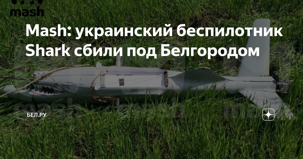 Zala 421-16е5g. орлан 10 е беспилотник ттх. беспилотник zt-180 ттх. Mq-20 бпла. беспилотник mq-9 reaper характеристики.