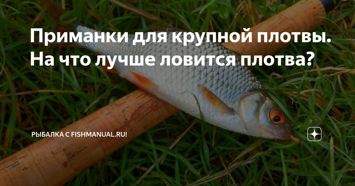 Ловля плотвы в декабре РЫБОУЛОВ