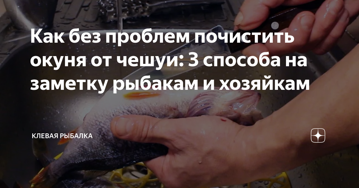 Как без проблем почистить окуня от чешуи: 3 способа на заметку рыбакам и хозяйка