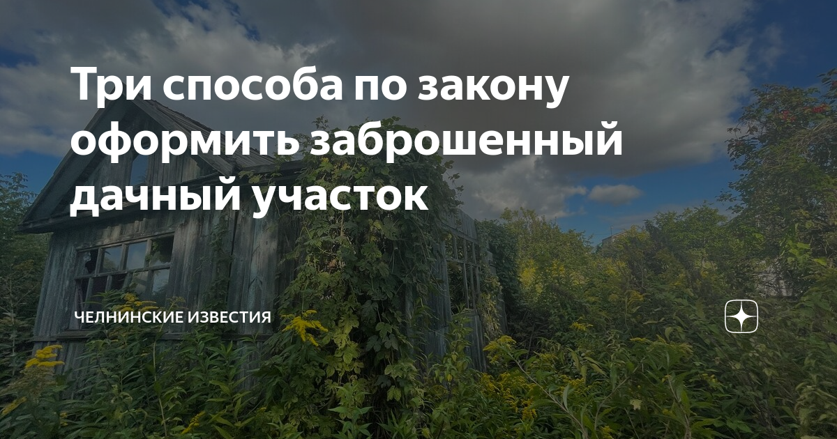 Как найти и оформить в собственность заброшенный земельный участок - Недвижимост