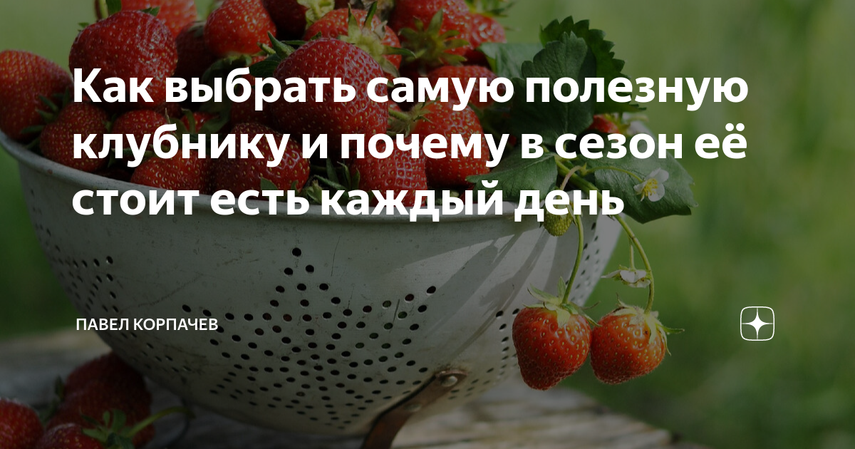 Что будет если есть каждый день клубнику. День клубники в России. Что будет если есть клубнику каждый день. Плод выращенный тобой самый полезный для тебя. Почему клубника не сладкая и что делать.