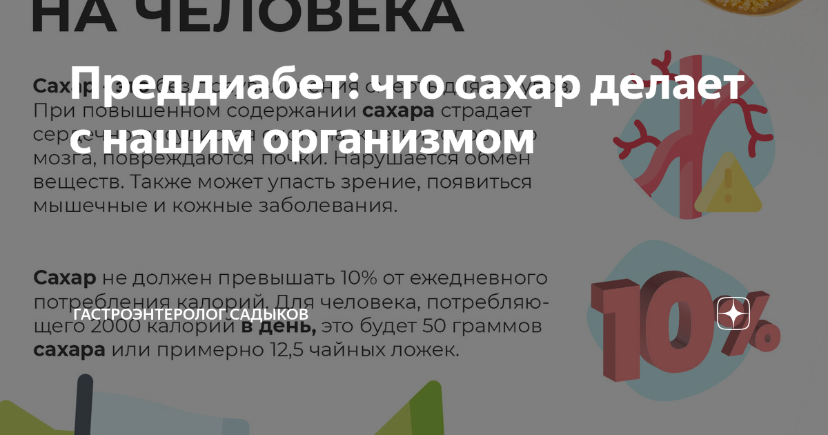 Преддиабет: что сахар делает с нашим организмом | Гастроэнтеролог ...