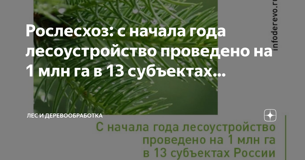 Рослесхоз план лесоустройства