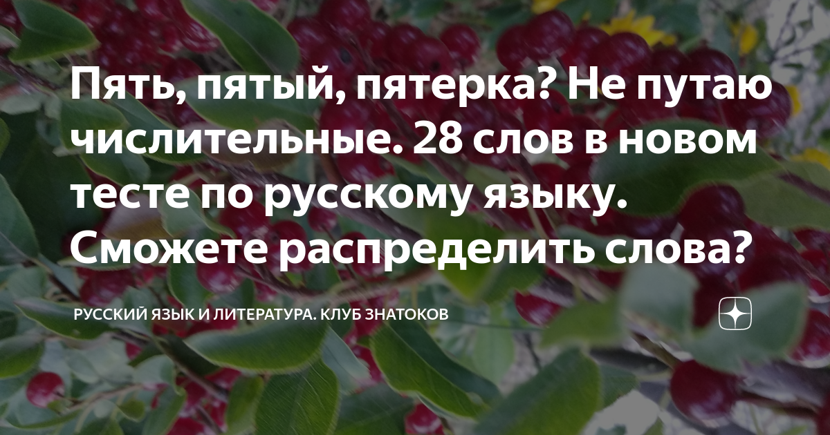 Пять, пятый, пятерка? Не путаю числительные. 28 слов в новом тесте по ...