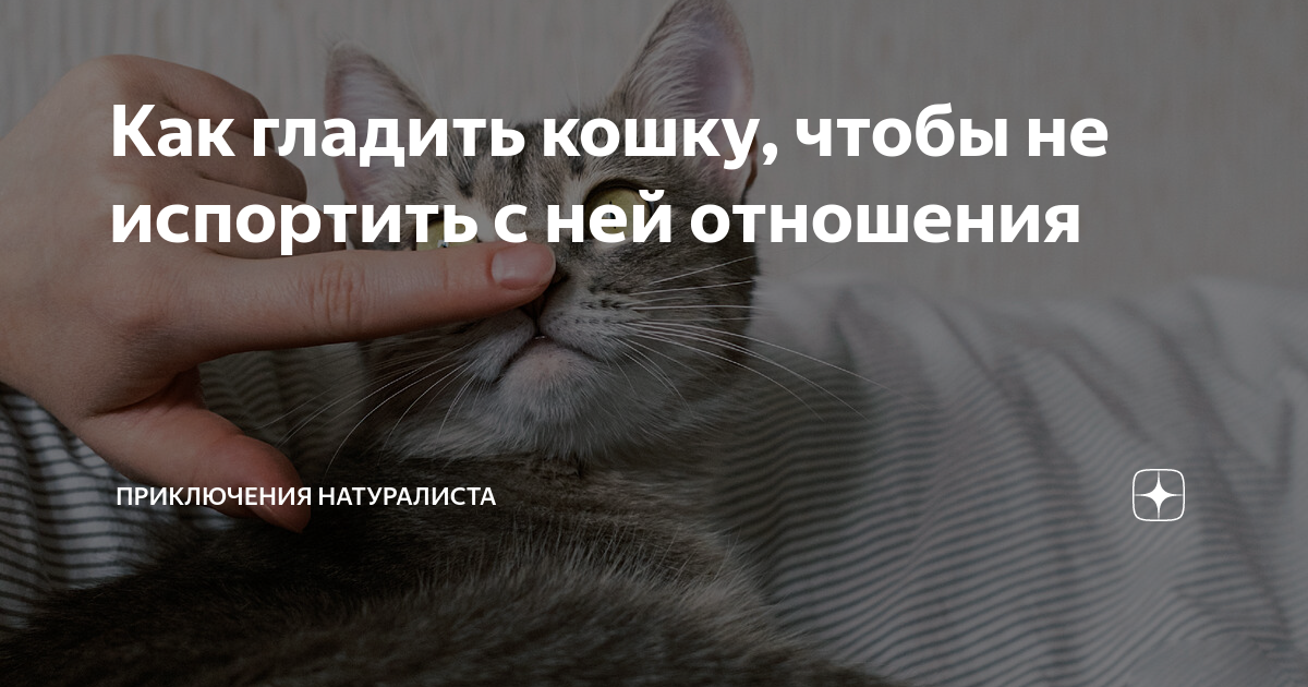 как гладить живот по часовой стрелке или против
