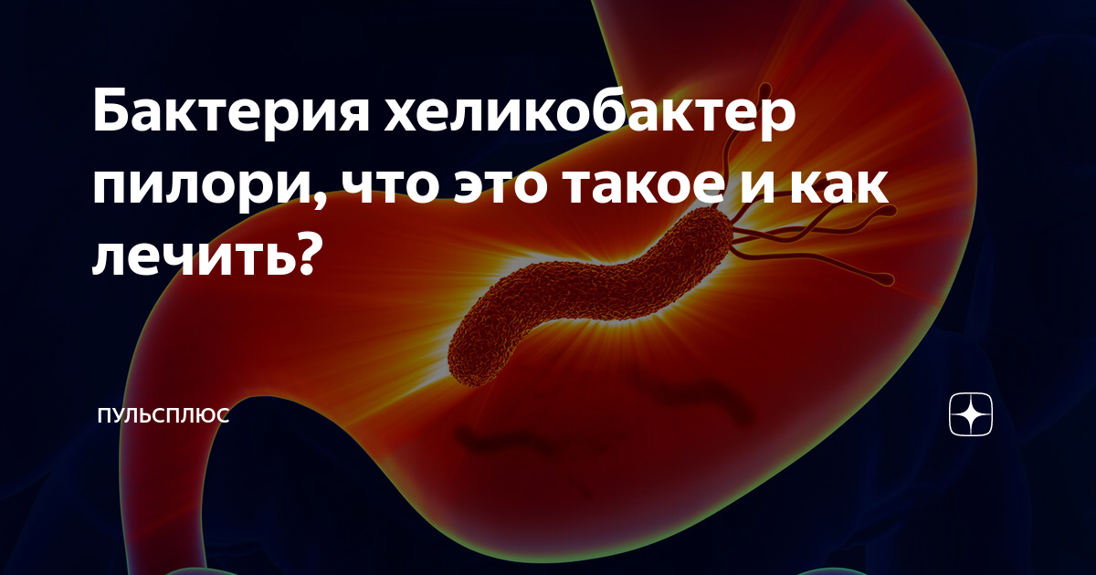 Хеликобактерная инфекция (Helicobacter pylori)