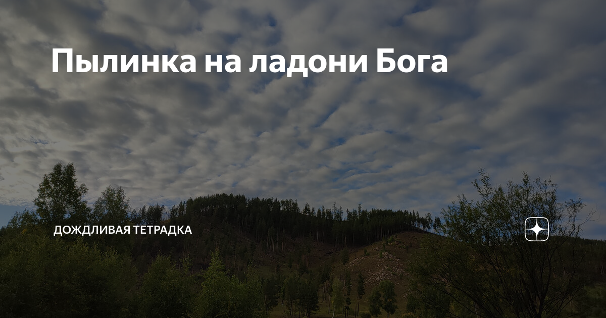 Пылинка на ладони Бога | Дождливая тетрадка | Дзен