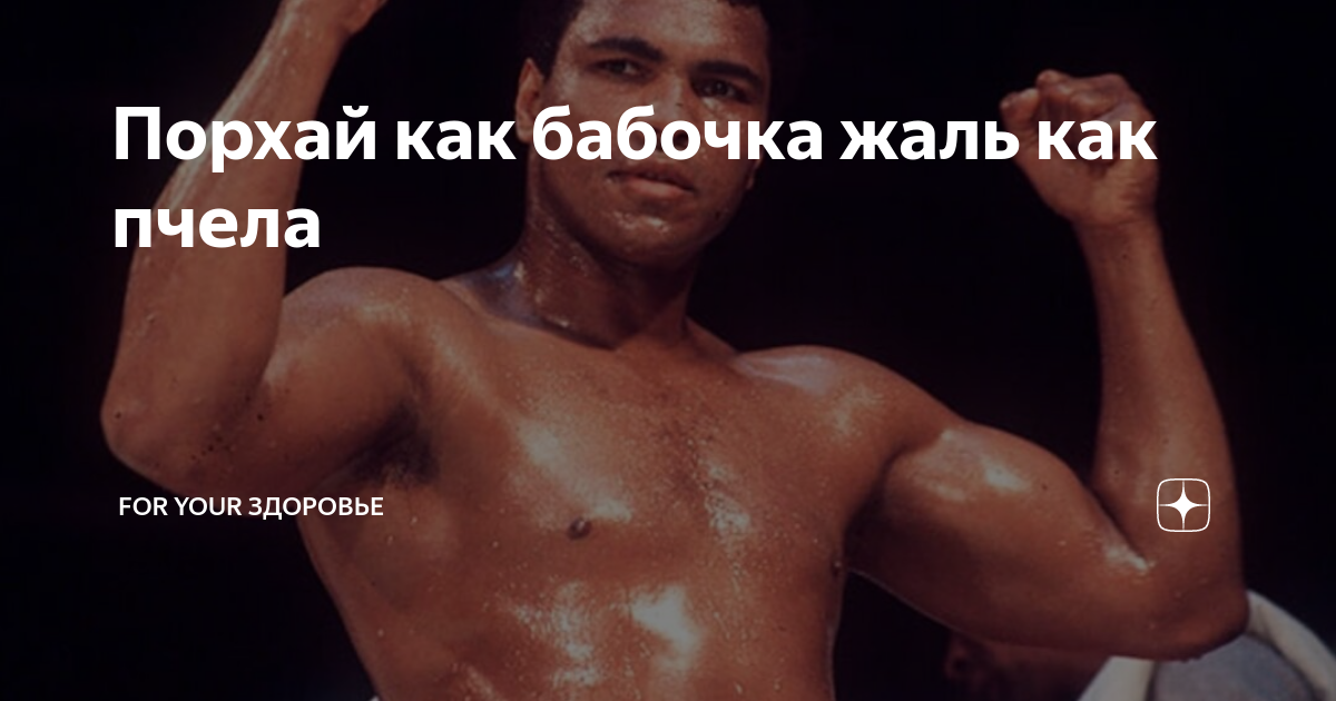 Порхают как пишется. Порхай как бабочка жаль что ты лох. Порхай как бабочка прикол. Порхай как бабочка жаль, что завтра на работу.