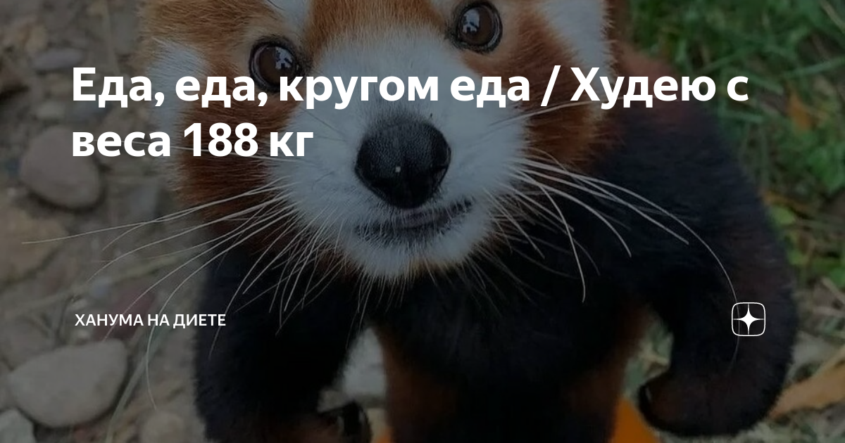 Еда, еда, кругом еда / Худею с веса 188 кг | Ханума на диете | Дзен