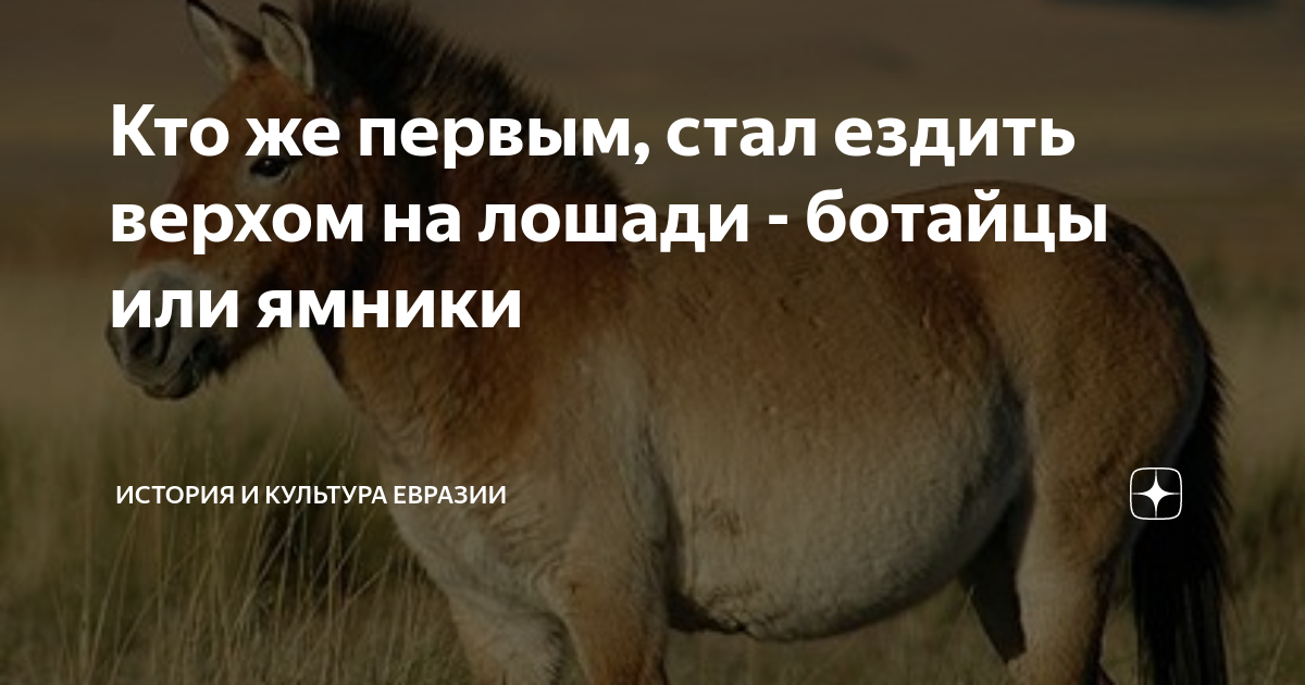 Кто же первым, стал ездить верхом на лошади - ботайцы или ямники ...