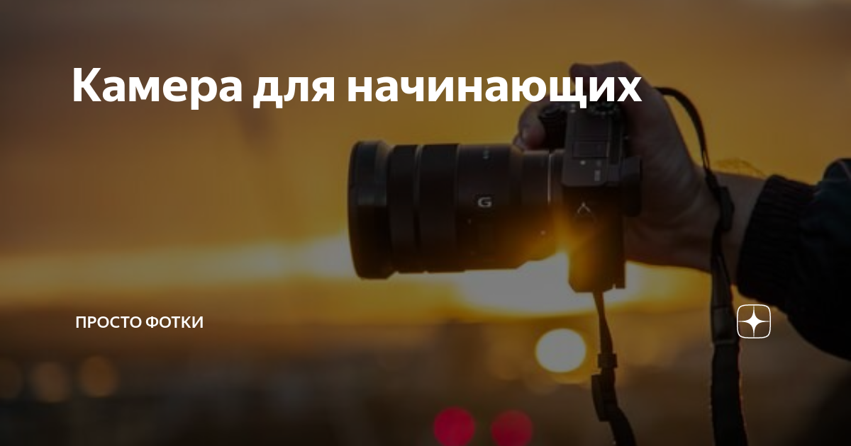 Камера для начинающих | Просто Фотки | Дзен