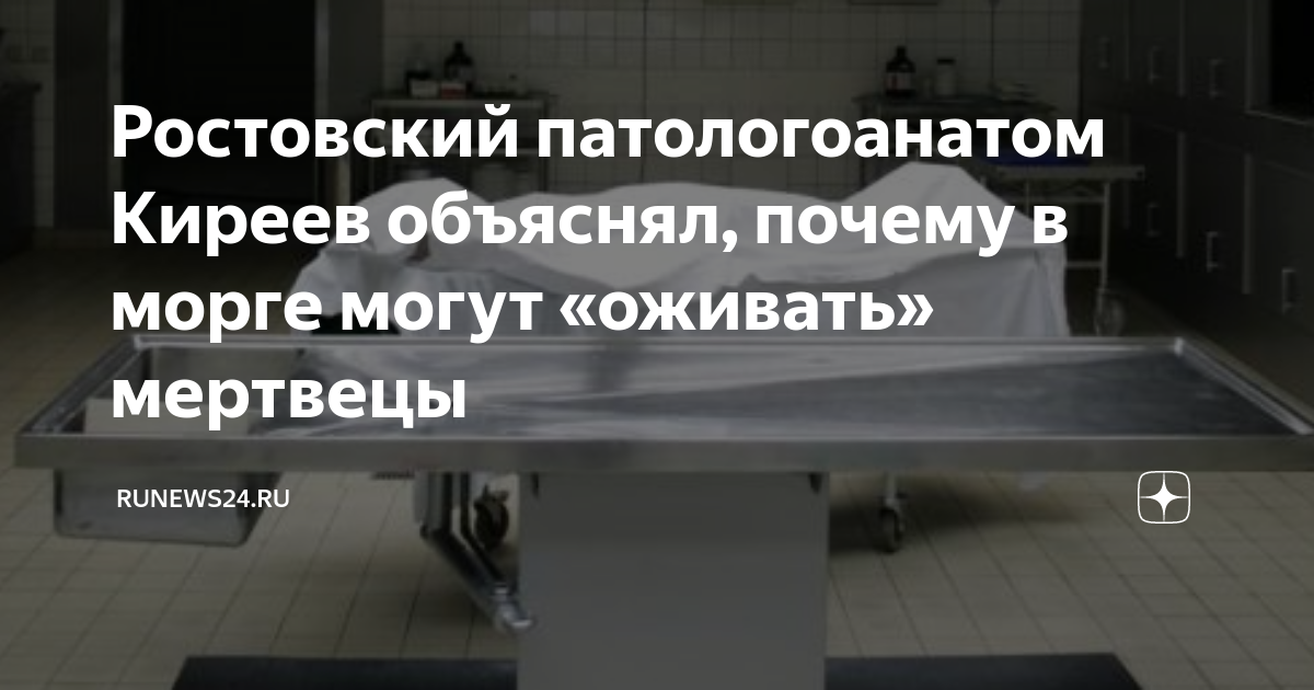 Номер морга ростова