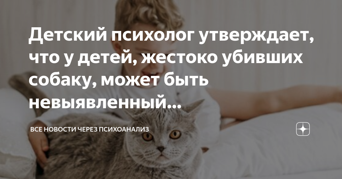 Детский психолог утверждает, что у детей, жестоко убивших собаку, может ...