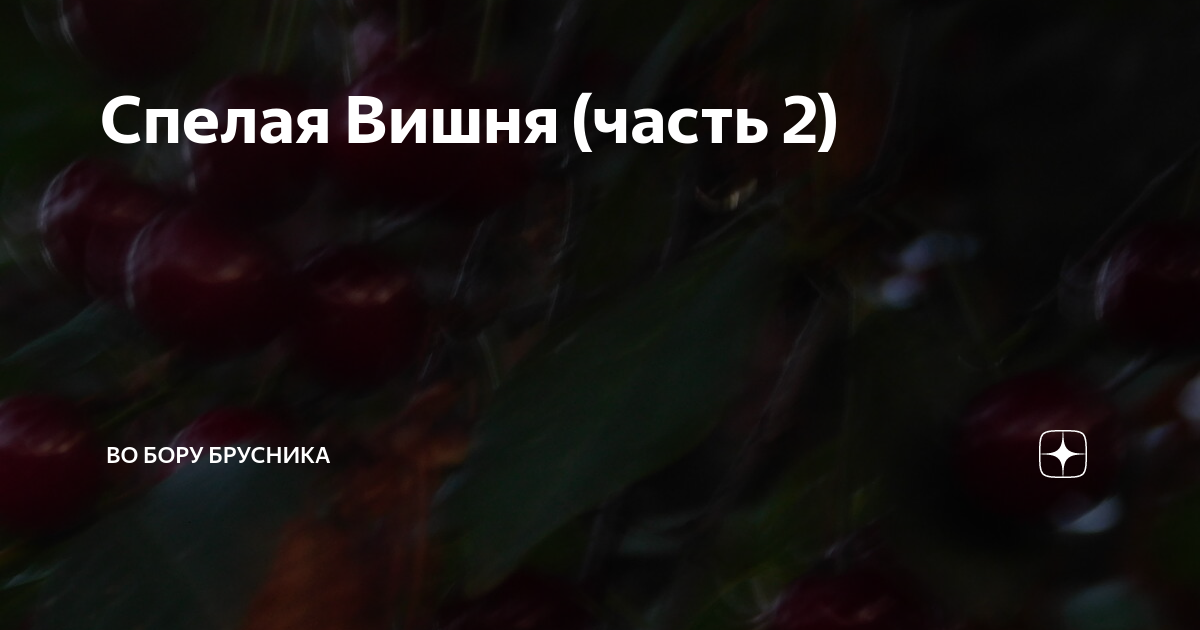 Спелая Вишня (часть 2) | Во бору брусника | Дзен