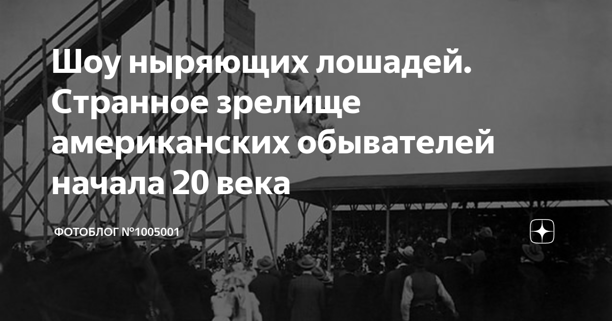 Шоу ныряющих лошадей. Странное зрелище американских обывателей начала ...