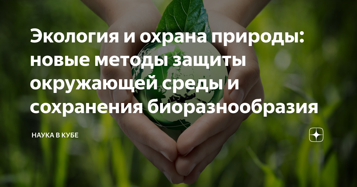 Требования к экологической информации. Экологические требования. Экологические требования к лесоизготовительной Продукций.